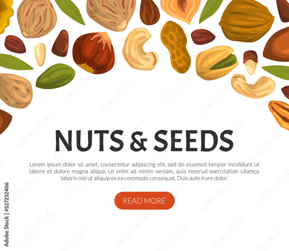Poster landing page with nuts and seeds vector web banner template