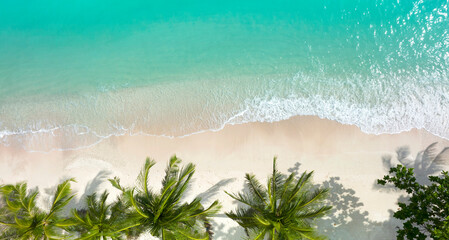 The aerial  view landscape of a Tropical  Summer palm beach and sandy beach and ocean with waves background - obrazy, fototapety, plakaty