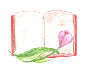 An open book with flowers drawn with watercolor pencils, isolated on a white background.