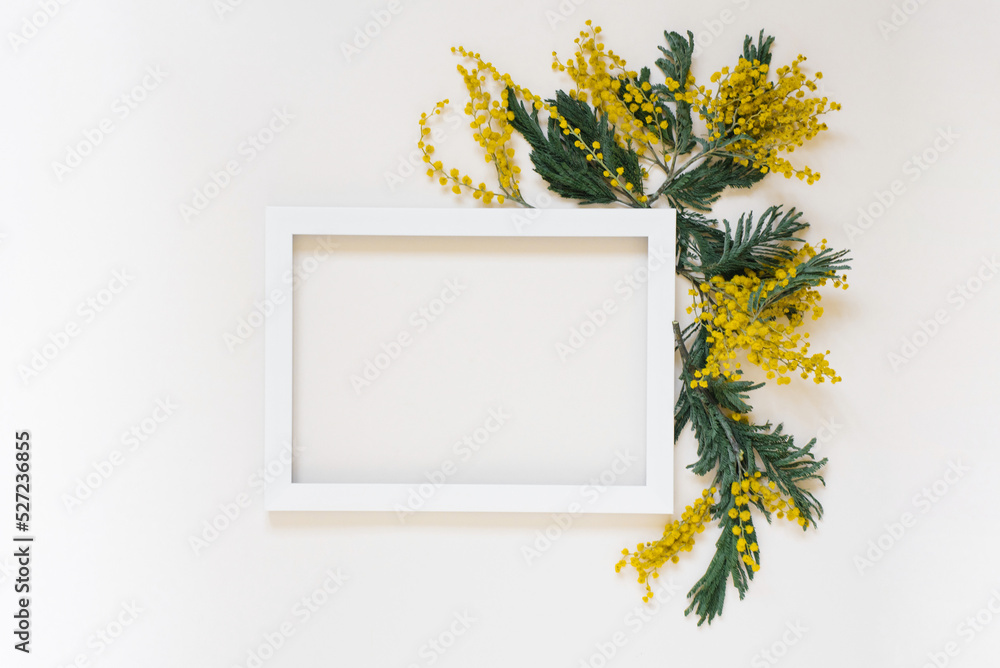 Fototapete empty white frame and yellow mimosa flowers on a white top view background with space to copy. mocku