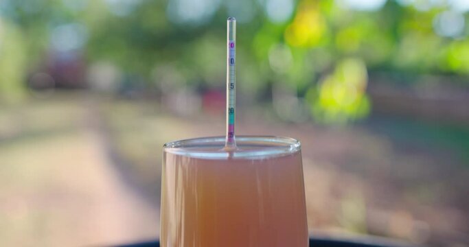 Winegrower placing hydrometer in glass cup for a test of grape juice. Checking alcohol of wine with wine alcohol meter.
