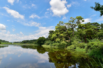 Overgrown with old trees around the Daejeong reservoir in Imsil-gun, Jeollabuk-do, South Korea.