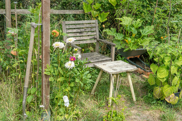 seating area, natural garden, spade, vegetable plants, tomato plants, zucchini plants, break,
garden, chair, table, patio, furniture, summer, wood, chairs, nature, wooden, seat, flowers, outdoor, rela