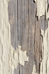 Close up textured background of peeling paint on a piece of wood