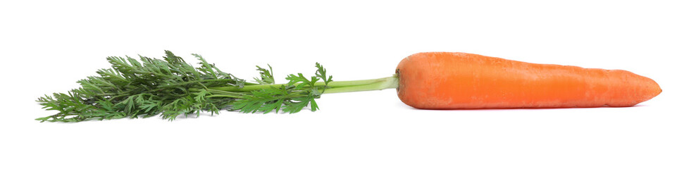 Tasty ripe organic carrot isolated on white