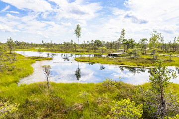 Resting area at the Great Kemeri Bog swamp at the Kemeri National Park in Latvia