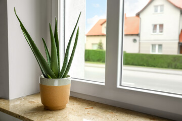 Green aloe vera in pot on marble windowsill indoors, space for text. Beautiful houseplant - obrazy, fototapety, plakaty