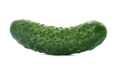 One fresh ripe cucumber on white background
