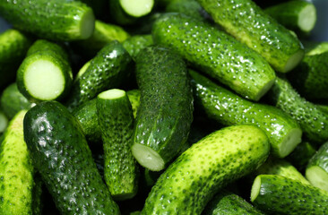 Many fresh ripe cucumbers as background, closeup