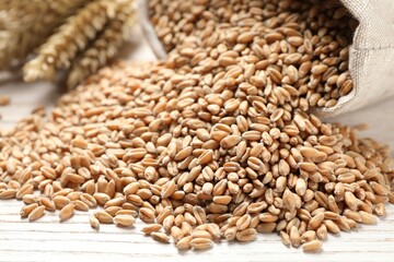 Sack with wheat grains on white wooden table, closeup
