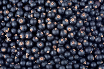 Ribes nigrum, fresh ripe blackcurrant, berries, close-up, as a background