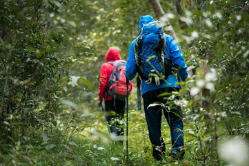 Two young Asian male backpackers Trekking to study the nature of tropical forests for ecotourism. Tourists trekking to see the beauty of tropical forests in Thailand.