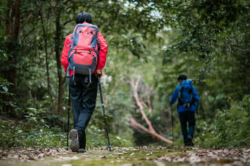 Fototapeta na wymiar Two young Asian male backpackers Trekking to study the nature of tropical forests for ecotourism. Tourists trekking to see the beauty of tropical forests in Thailand.