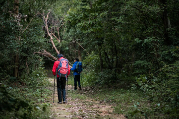 Obraz premium Two young Asian male backpackers Trekking to study the nature of tropical forests for ecotourism. Tourists trekking to see the beauty of tropical forests in Thailand.