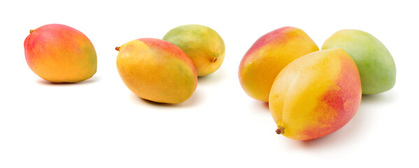 mangos on a white background