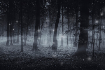 Dunkler Wald bei Nacht, magische Waldlandschaft