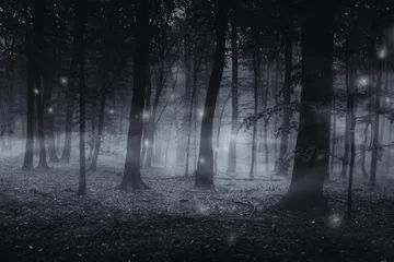 Dunkler Wald bei Nacht, magische Waldlandschaft © andreiuc88