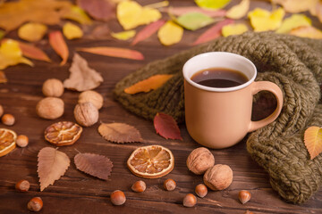 Autumn, fall leaves, hot cup of coffee and warm knitted scarf on wooden table, copy space. Seasonal, morning coffee, sunday rest and home and coziness concept.