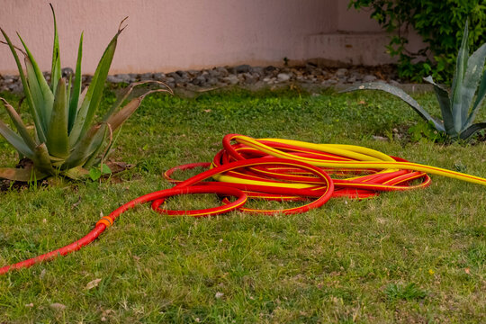 Yellow-orange rubber water hoses wrapped in a circle lie on the green grass. Hoses for watering the lawn. Rubber pipes for water.
