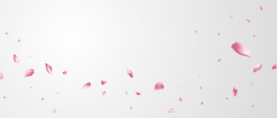 Fototapeta na wymiar falling rose petals background vector design 3D illustration
