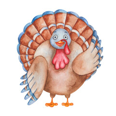 Watercolor illustration of hand painted turkey bird with brown, blue feathers, waving with a wing. Cartoon animal character. Traditional Thanksgiving bird. Isolated clip art for prints, posters, cards