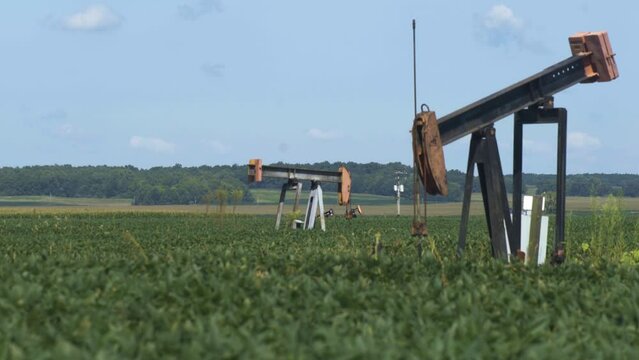 Oil jacks both stationary and and working help Midwest farmers beat the current fuel crisis in America.