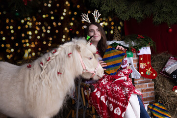 Horses and the New Year. A girl and a horse at Christmas