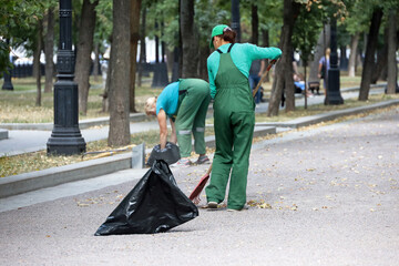 Women workers in green uniform clean the park, collects fallen leaves in a garbage bag. Street...