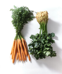 Flatlay with root vegetables carrot and celeriac on white background