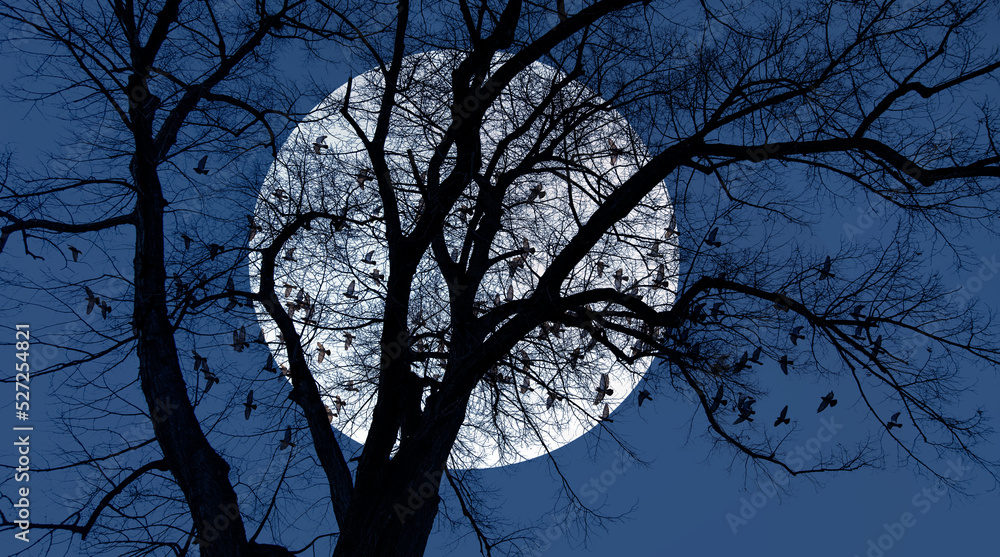 Aufkleber Silhouette of birds flying over lone tree with aurora against super moon 