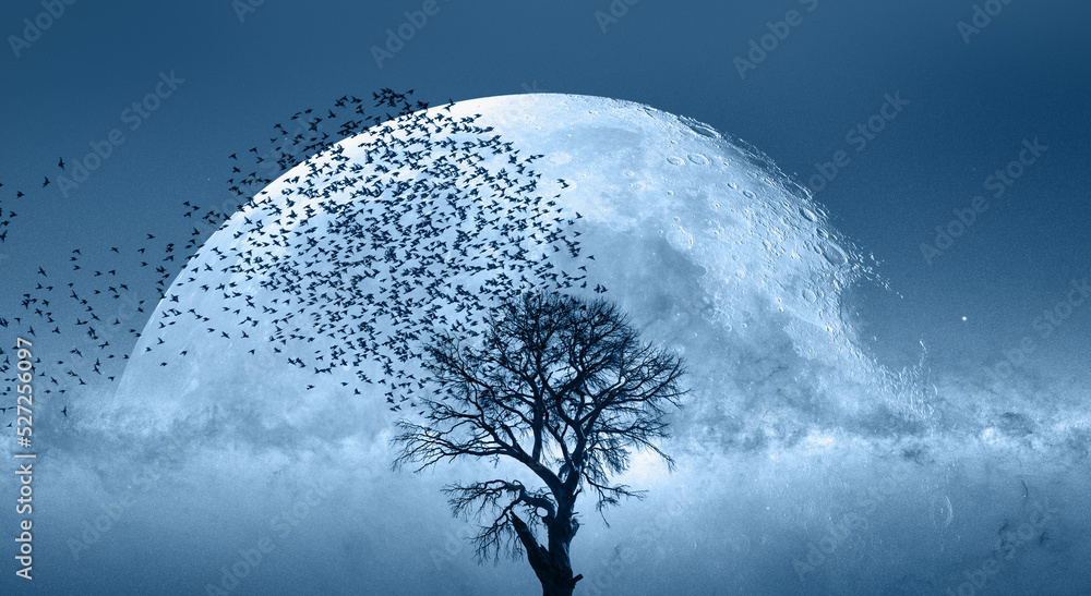 Poster lone dead tree with full moon with milky way galaxy in the background 