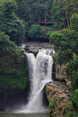 Fototapeta na wymiar Waterfall in jungle