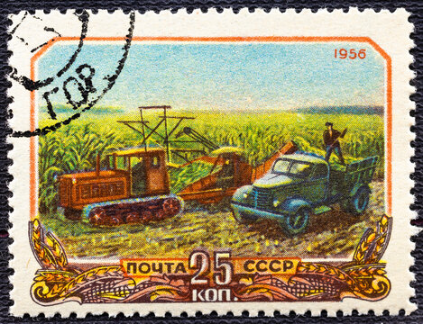 USSR - CIRCA 1956: A postage stamp printed in the USSR shows harvesting corn in collective farm peasantry in Soviet Russia.