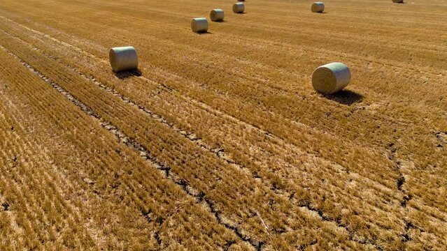UK, England, Cambridgeshire, Straw bales in field of cereal stubble