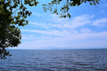 びわ湖、琵琶湖、湖畔、遊泳場、夏、夏空、白い雲、木陰、さざ波、淡水
