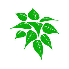 Vector color icon of green leaves.