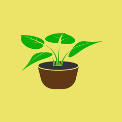 Green flowerpot vector icon. Color illustration of a houseplant with large leaves in a pot.