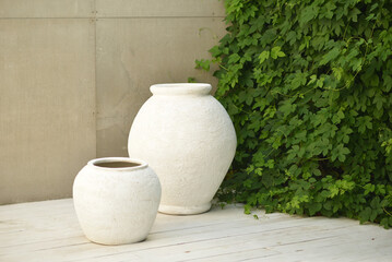 Two beautiful white pots stand on a white floor against the background of ivy