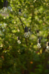 Beautiful light bulbs in the summer garden, home decorations