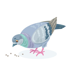 Funny gray dove pecks. In cartoon style. Isolated on white background. Vector flat illustration.