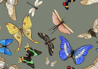 Set of insects: beetles, butterflies, moths, dragonflies. Etymologist's set. Seamless pattern, background. Vector illustration. In realistic style on military green, khaki background