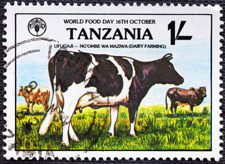 TANZANIA- CIRCA 1970s: A post stamp printed in Tanzania shows image of cows, devoted world food day.