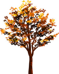 Naklejka na ściany i meble Autumn tree