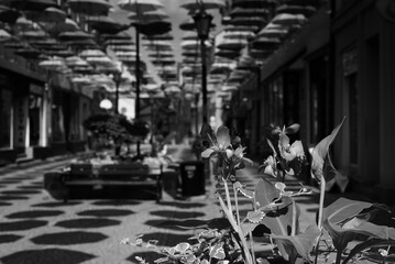 CITYSCAPE - A flowers on the walking passage under colorful umbrellas  © Wojciech Wrzesień