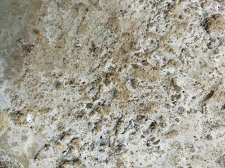 Stone Wall Texture for Background
