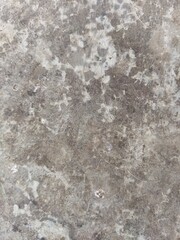 Stone Wall Texture for Background