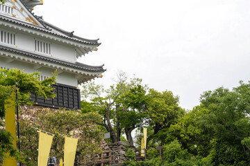 Fototapeta na wymiar 5月の初夏、のぼり立つ、岐阜城の天守閣