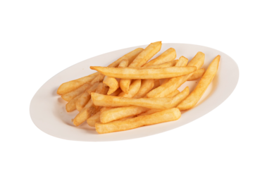 french fries on plate