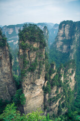 Amazing view of natural quartz sandstone pillar the Avatar Hallelujah Mountain among green woods and rocks in the Tianzi Mountains, the Zhangjiajie National Forest Park, Hunan Province, China.