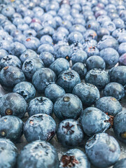 layout texture background blueberries blueberries top view fruits seasonal